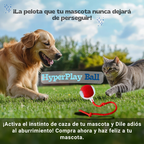 HyperPlay Ball – Diversión inteligente para tu mascota