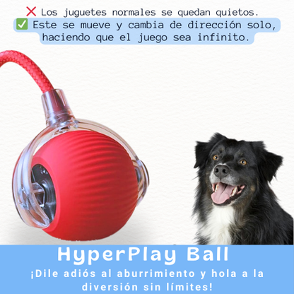 HyperPlay Ball – Diversión inteligente para tu mascota