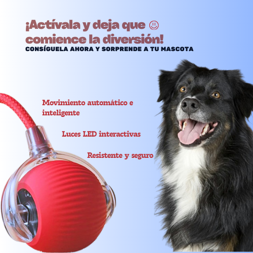 HyperPlay Ball – Diversión inteligente para tu mascota